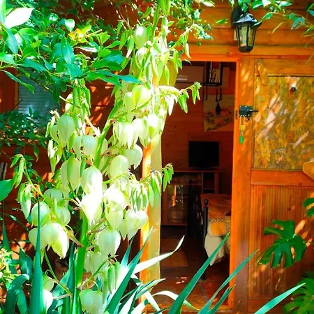 Le Portel Des Arnaud D'hotes Bed & Breakfast Durfort-et-Saint-Martin-de-Sossenac