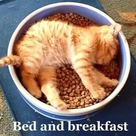 Bed & Breakfast Le Portel Des Arnaud D'hotes Durfort-et-Saint-Martin-de-Sossenac